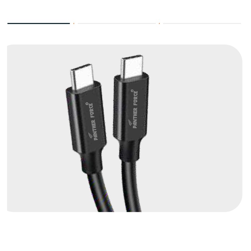 Panther Force Type-C to Type-C Cable Standard (Black)