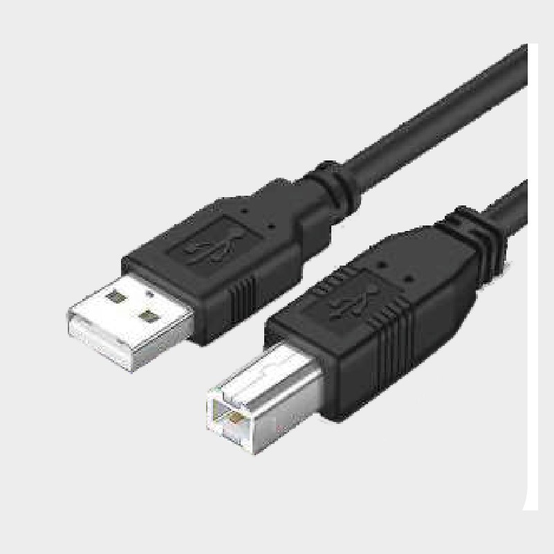 AV & Network Cables